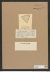 Triceratium ferox Castr. (de-Toni-Nr.: Genus 140, Species 3717) Zeichnungen Sammlung Grunow Nr. 7208 (NHMW-BOT-W0376196)